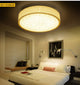 2019 new design promotion selling round ceiling lamp home decoration ceiling light 30~80cm 5~30w