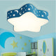 2019 new design promotion selling round ceiling lamp home decoration ceiling light 40~60cm 18~36w