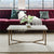 Coffee Table Nordic Minimalist Creative Living Room Net Red Wrought Iron Wood Square Japanese Easy Installation Coffee Table