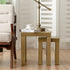 High Quality Set of 2 Nesting Living Room Decor Wooden Coffee End Table Simple Stylish Elegant Design Coffee Table HW58204