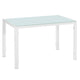 Modern simple Assembled Tempered Glass & Iron Dinner Garden Yard Coffee Table Home Furniture