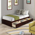 Twin Size Platform Storage Bed 3 Drawers More Storage Space For Bedroom Apartment Solid Wood Sturdy MDF And Composite Wood